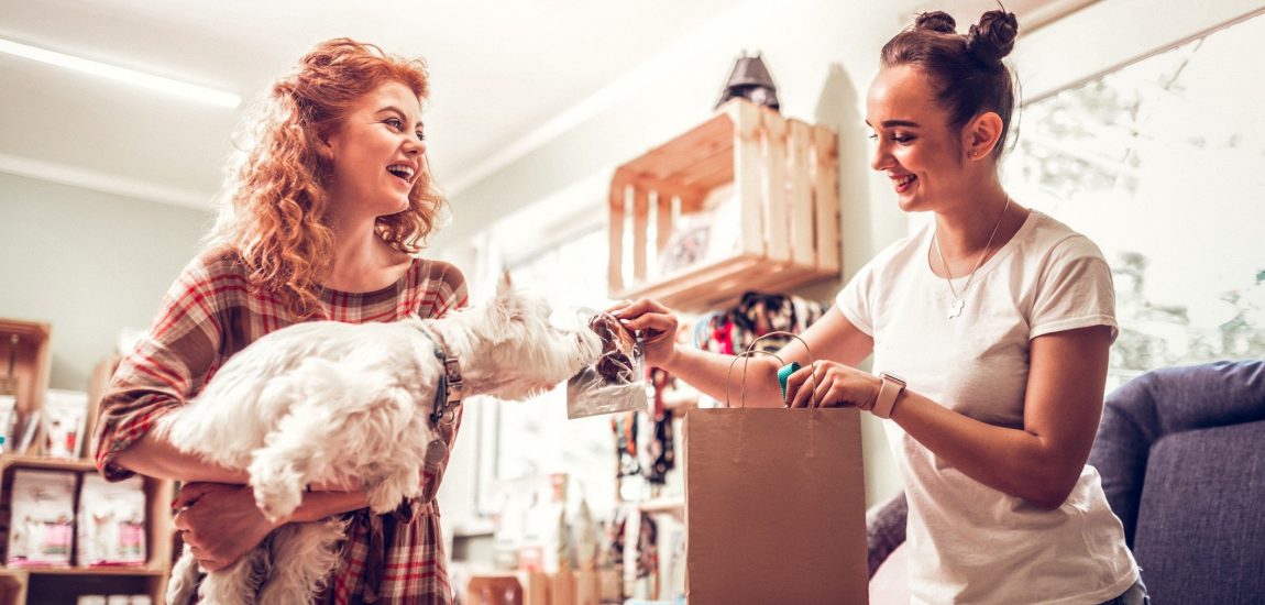 Confira as orientações do Sebrae para atendimento em pet shops e clínicas veterinárias